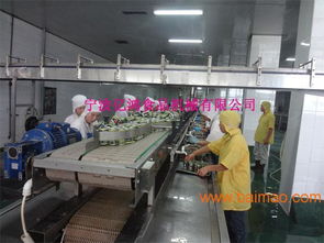 億鴻食品機械 以卓越品質(zhì)與智能技術(shù)，引領(lǐng)魚罐頭瀝水機新標準
